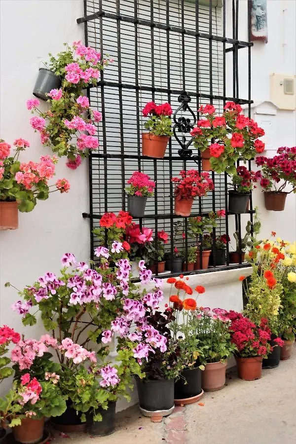 Vendégház Hostal Moncada Gaucín Spanyolország